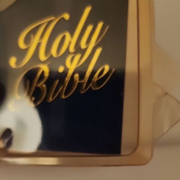 Gray and White Plush Bear with Blue Ribbon - Picture 4 of 11